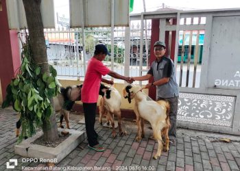 Sambut Idul Adha Kemenag Salurkan Enam Ekor Kambing