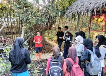EksKul Pecinta Alam MAN Batang Kenalkan Ekositem Mangrove