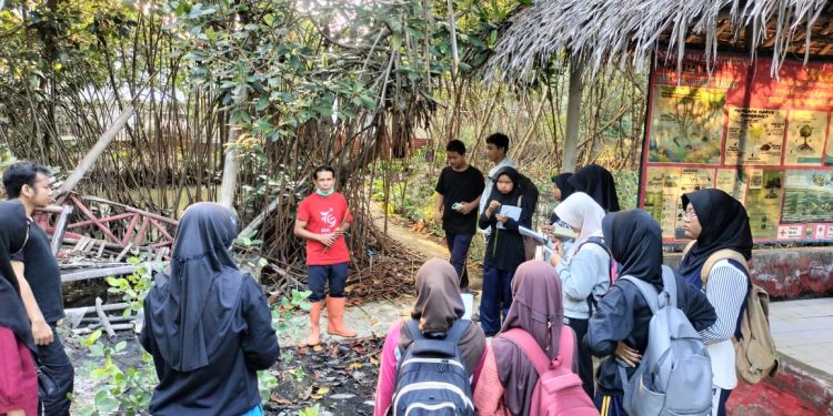 EksKul Pecinta Alam MAN Batang Kenalkan Ekositem Mangrove