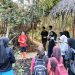 EksKul Pecinta Alam MAN Batang Kenalkan Ekositem Mangrove